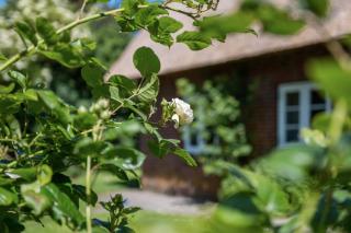 Fewo Silke Dethlefsen - Pellworm - 8