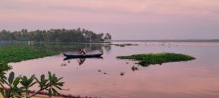 Ameya Kerala - Alappuzha - 1