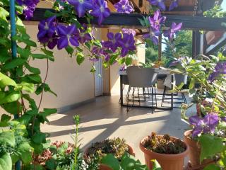 Bodza apartman - Gyula - 7