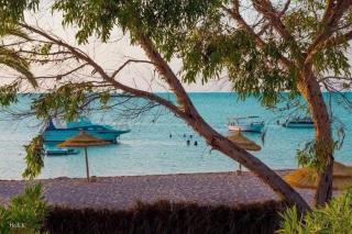 Villa familiale Avec piscine Dar Allouche S4 - Hanshīr Qaşr Ghallāb - 8