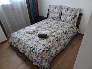 les 3 songes,fête toléré - Saint-Pierre - 4