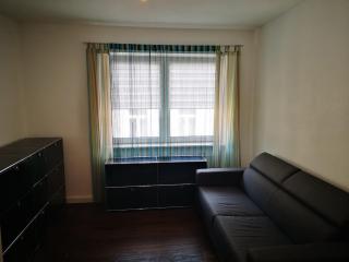Centrally located spacious flat close to Rhine - 5