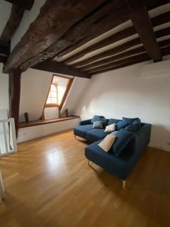 Appartement coeur de Beaune - Beaune - 7