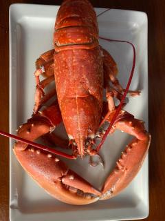 FERME Rénovée 300m de la Mer POINTE DU RAZ jusqu'à 9 Couchages LOCATION 7 jours du Samedi au Samedi minimum - Plogoff - 8