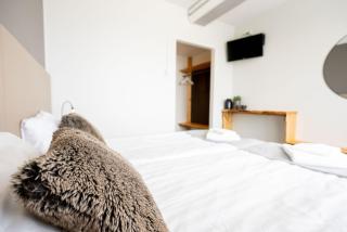 Nature Hotel Kuutti - Savonlinna - 2