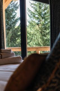 Finber Lodge - Les Gets - 7
