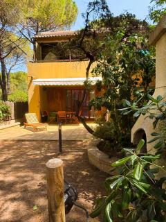 Purple House - Arboriamar Platamona - 3