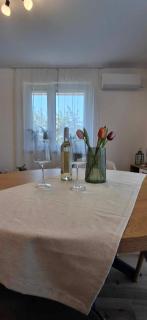 Plazma Apartman Sárvár - Sárvár - 4