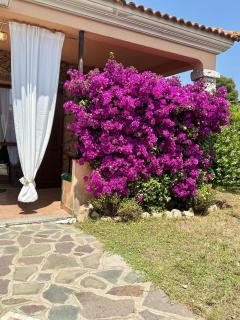 Mattias Home - San Teodoro - 7