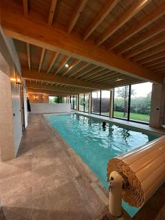 Les Arbres sous le vent à 10 min de Pairi Daiza - 4