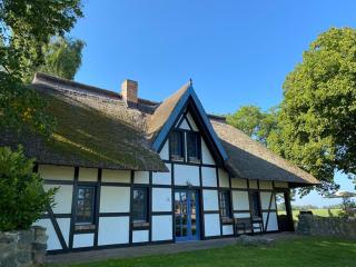 Landhaus 3 Stettinerhaff - Dargen - 9