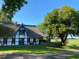 Landhaus 3 Stettinerhaff - Dargen - 8