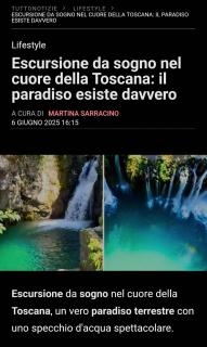 B&B Candalla - Camaiore - 7
