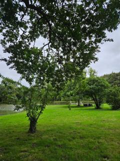 Laurier ET Menthe - Challans - 2