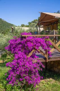 Sea Glamping - Kotor - 6