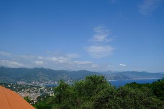 Casa Collina by PortofinoVacanze - 1