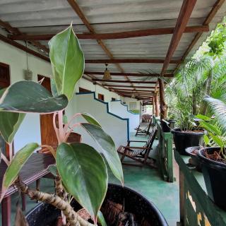 Bandula Home Stay - Sigiriya - 2