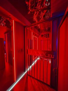 BDSM Apartament Warszawa Luxxx - ADULTS ONLY - TYLKO DLA DOROSŁYCH - Warschau - 6