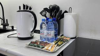 Евродвушка возле Астана Арена, Барыс Арена, Ботанический сад - Astana - 5