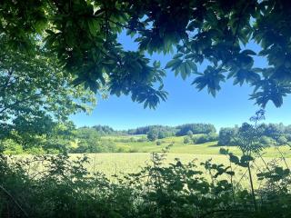 Charming country house -  - 3