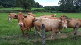 Charming country house -  - 2