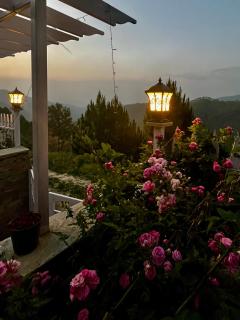 Skyline Luxury Homestay - Rānīkhet - 0