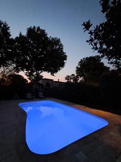 Villa au calme, jardin, piscine, jacuzzi - Saussan - 4