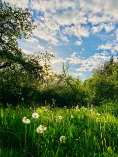 Camping centra Shambhala - 1