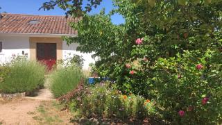 Ola Linda - Casa de Campo - - Castelo de Vide - 0
