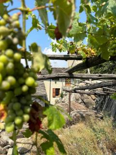 La Casa nel Nebbiolo - Pont-Saint-Martin - 9