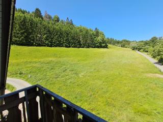 Smart Resorts B&B 2 BB2 329 - Winterberg - 1