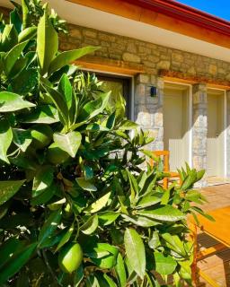 Gabaklar butik otel - Mesudiye - 3