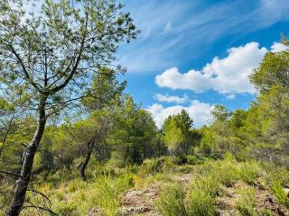 Villa close to Sainte Victoire and pool - Le Tholonet - 9