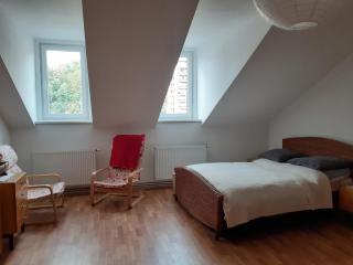Top-floor 2-1 flat, in the very center - Karlovy Vary - 0