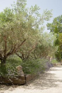 Domaine Cap Rubis - Paradou - 8