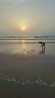 Chamsa - Tanger - 4