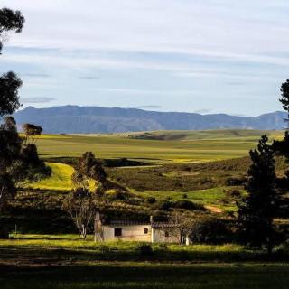Magdala Guest Farm - Napier - 7