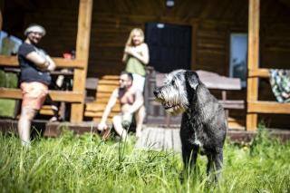 Czerwony domek w Słońcu Mazur - - 5