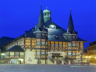 Apartment Remise, Wernigerode - Wernigerode - 9