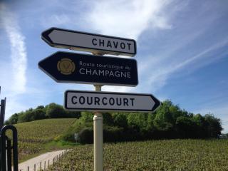 Gite Du Clos Pommier - Chavot-Courcourt - 2