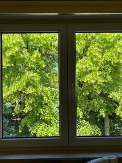 Comfy & Cozy Apartment - 7