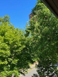 Comfy & Cozy Apartment - 3