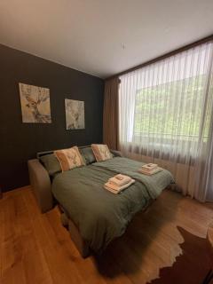 Gemütliches Apartment mit Balkon nähe Hallstatt - Steinach - 8
