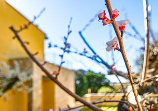 Marelì - magnifica villa con piscina - 6