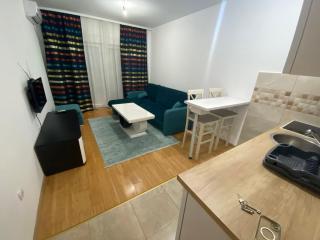 Apartman Podgorica - Podgorica - 3