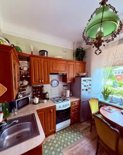 Central Antique Gallery Apartment - Klaipeda - 9