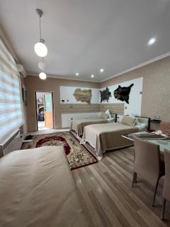 Mehriban Guest House - Sheki - 4