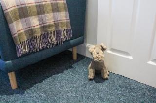 Cosy & Quiet Flat near Haymarket Station - Edinburgh - 3