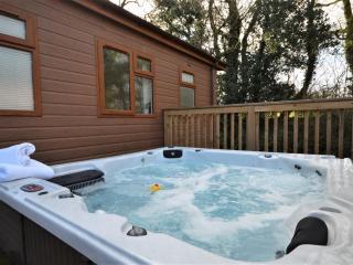 3 Bed in Okehampton 49134 - Okehampton - 0