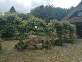 Charmante Wohnung Im Natur-Wald - - 3